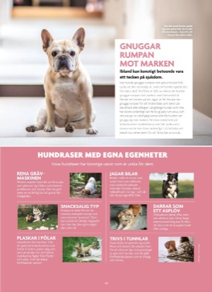 aftonbladet_bruce2023-20250510_000_00_00_039.pdf