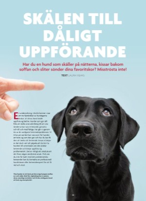 aftonbladet_bruce2023-20250510_000_00_00_040.pdf