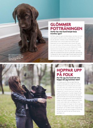 aftonbladet_bruce2023-20250510_000_00_00_041.pdf