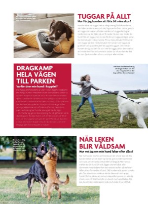 aftonbladet_bruce2023-20250510_000_00_00_042.pdf