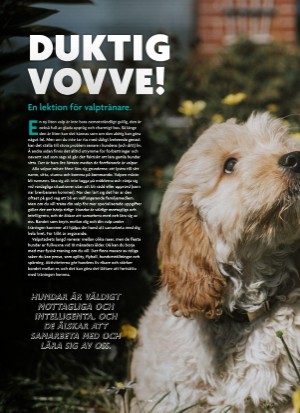 aftonbladet_bruce2023-20250510_000_00_00_044.pdf