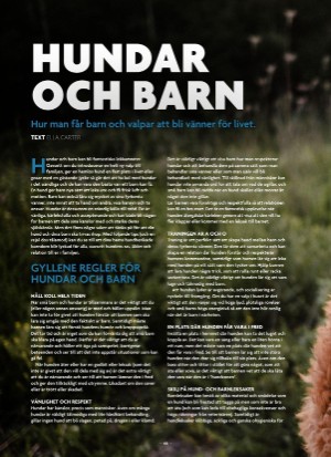 aftonbladet_bruce2023-20250510_000_00_00_048.pdf