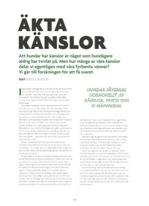 aftonbladet_bruce2023-20250510_000_00_00_053.pdf