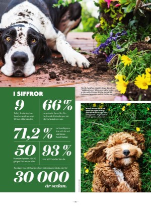 aftonbladet_bruce2023-20250510_000_00_00_056.pdf