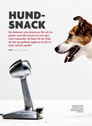 aftonbladet_bruce2023-20250510_000_00_00_060.pdf