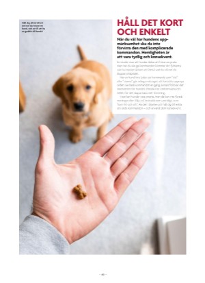 aftonbladet_bruce2023-20250510_000_00_00_063.pdf