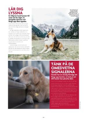 aftonbladet_bruce2023-20250510_000_00_00_064.pdf