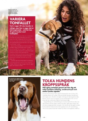 aftonbladet_bruce2023-20250510_000_00_00_065.pdf