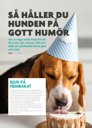 aftonbladet_bruce2023-20250510_000_00_00_066.pdf