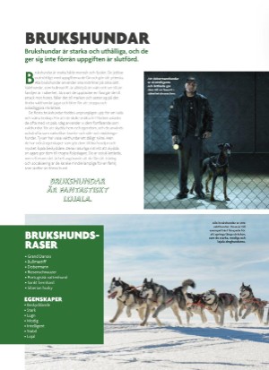 aftonbladet_bruce2023-20250510_000_00_00_076.pdf