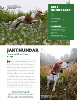aftonbladet_bruce2023-20250510_000_00_00_079.pdf