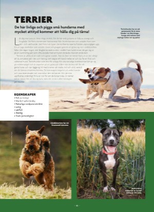 aftonbladet_bruce2023-20250510_000_00_00_082.pdf