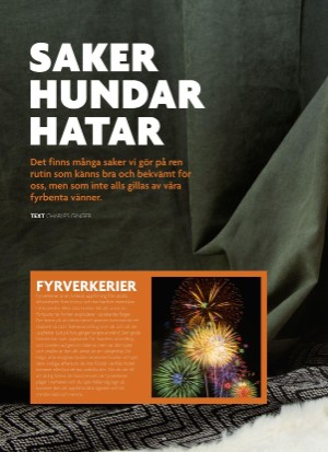 aftonbladet_bruce2023-20250510_000_00_00_084.pdf