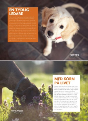 aftonbladet_bruce2023-20250510_000_00_00_089.pdf
