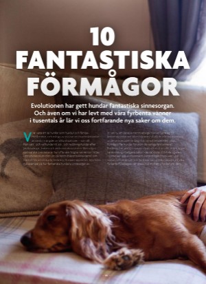aftonbladet_bruce2023-20250510_000_00_00_090.pdf