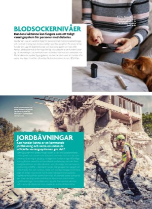 aftonbladet_bruce2023-20250510_000_00_00_092.pdf