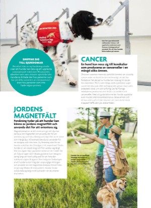 aftonbladet_bruce2023-20250510_000_00_00_093.pdf