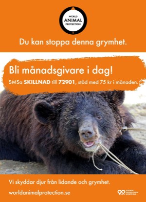 aftonbladet_bruce2023-20250510_000_00_00_100.pdf
