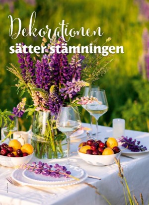 aftonbladet_bruce2023-20250604_000_00_00_050.pdf