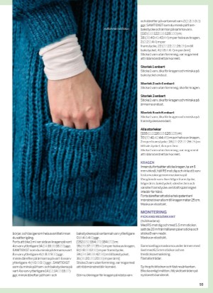 aftonbladet_bruce2023-20250607_000_00_00_093.pdf
