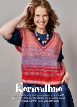 aftonbladet_bruce2023-20250806_000_00_00_006.pdf