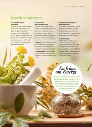 aftonbladet_bruce2023-20250829_000_00_00_027.pdf