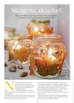 aftonbladet_bruce2023-20251031_000_00_00_074.pdf aftonbladet_bruce2023-20251031_000_00_00_074.pdf