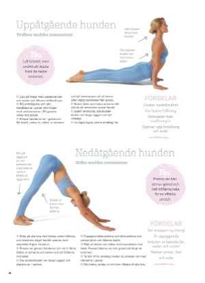 aftonbladet_bruce2023-20251119_000_00_00_028.pdf