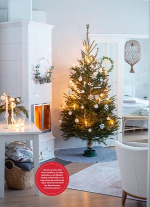 aftonbladet_bruce2023-20251128_000_00_00_028.pdf