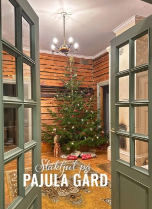 aftonbladet_bruce2023-20251128_000_00_00_030.pdf