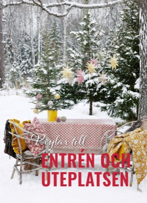 aftonbladet_bruce2023-20251128_000_00_00_054.pdf