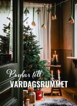 aftonbladet_bruce2023-20251128_000_00_00_058.pdf