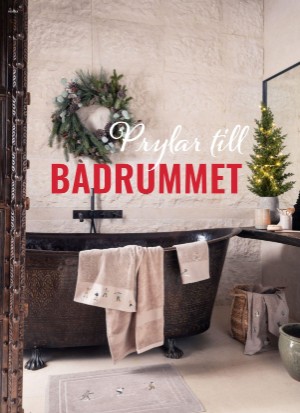 aftonbladet_bruce2023-20251128_000_00_00_064.pdf