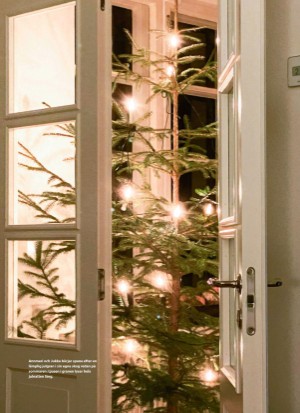 aftonbladet_bruce2023-20251128_000_00_00_081.pdf