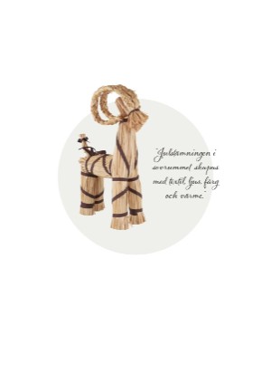 aftonbladet_bruce2023-20251128_000_00_00_082.pdf