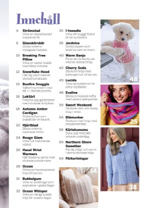 aftonbladet_bruce2023-20251213_000_00_00_003.pdf