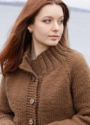 aftonbladet_bruce2023-20251213_000_00_00_021.pdf