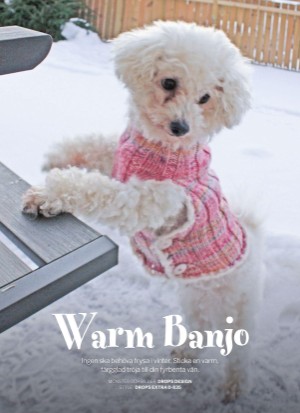 aftonbladet_bruce2023-20251213_000_00_00_040.pdf