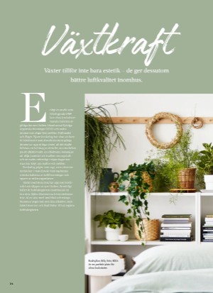 aftonbladet_bruce2023-20260107_000_00_00_024.pdf