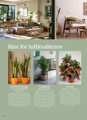 aftonbladet_bruce2023-20260107_000_00_00_026.pdf