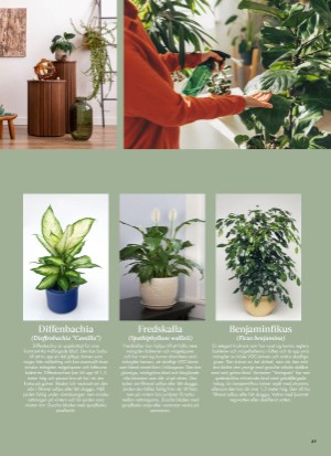 aftonbladet_bruce2023-20260107_000_00_00_027.pdf