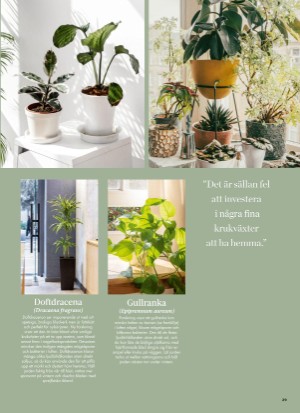 aftonbladet_bruce2023-20260107_000_00_00_029.pdf