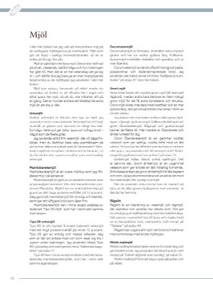 aftonbladet_bruce2023-20260117_000_00_00_010.pdf