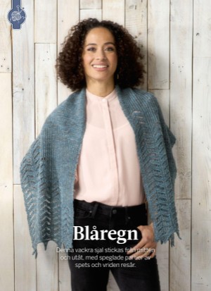 aftonbladet_bruce2023-20260128_000_00_00_016.pdf