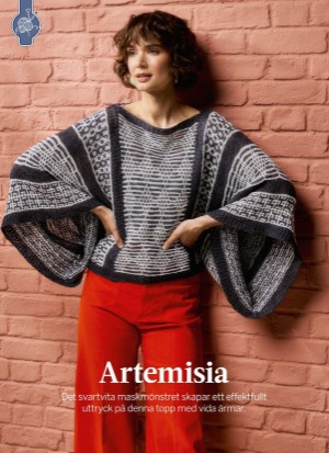 aftonbladet_bruce2023-20260128_000_00_00_036.pdf