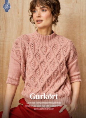 aftonbladet_bruce2023-20260128_000_00_00_056.pdf