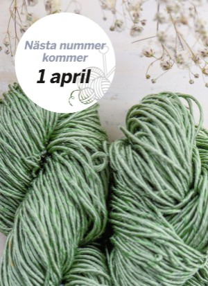 aftonbladet_bruce2023-20260128_000_00_00_066.pdf