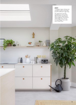 aftonbladet_bruce2023-20260218_000_00_00_033.pdf