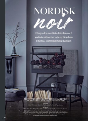 aftonbladet_bruce2023-20260218_000_00_00_064.pdf