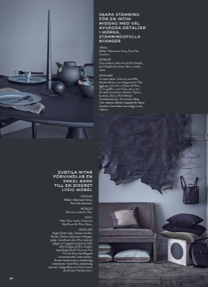 aftonbladet_bruce2023-20260218_000_00_00_066.pdf